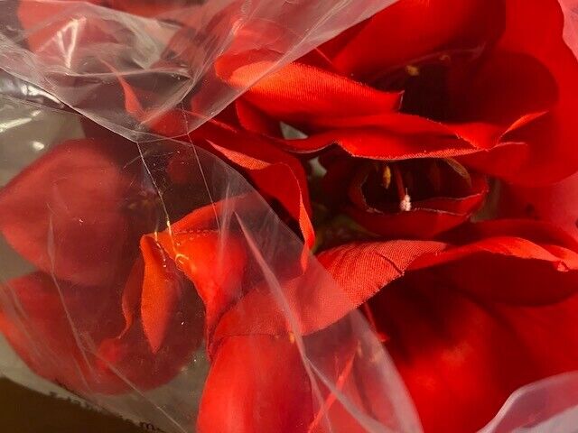 5 Bloom Red Amarylis Stems-28 inch-3 stems